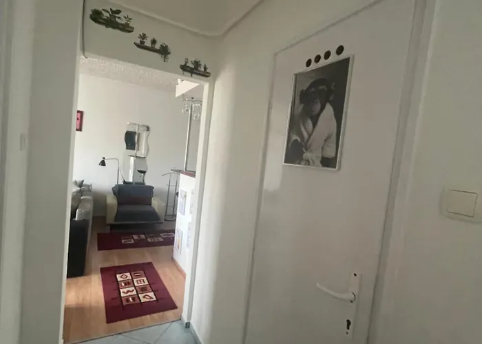 Kolor House Kazincbarcika